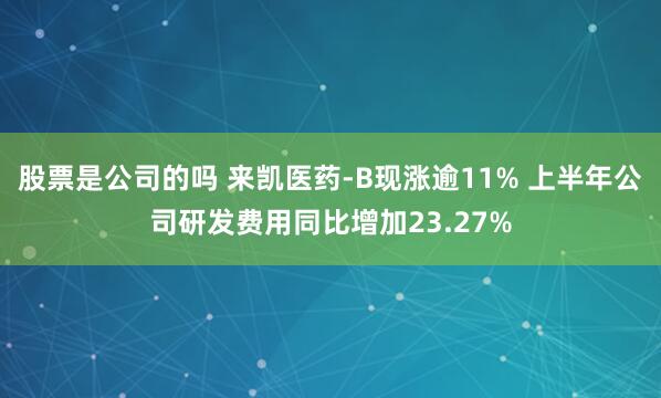 股票是公司的吗 来凯医药-B现涨逾11% 上半年公司研发费用同比增加23.27%