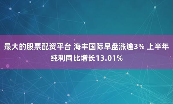 最大的股票配资平台 海丰国际早盘涨逾3% 上半年纯利同比增长13.01%